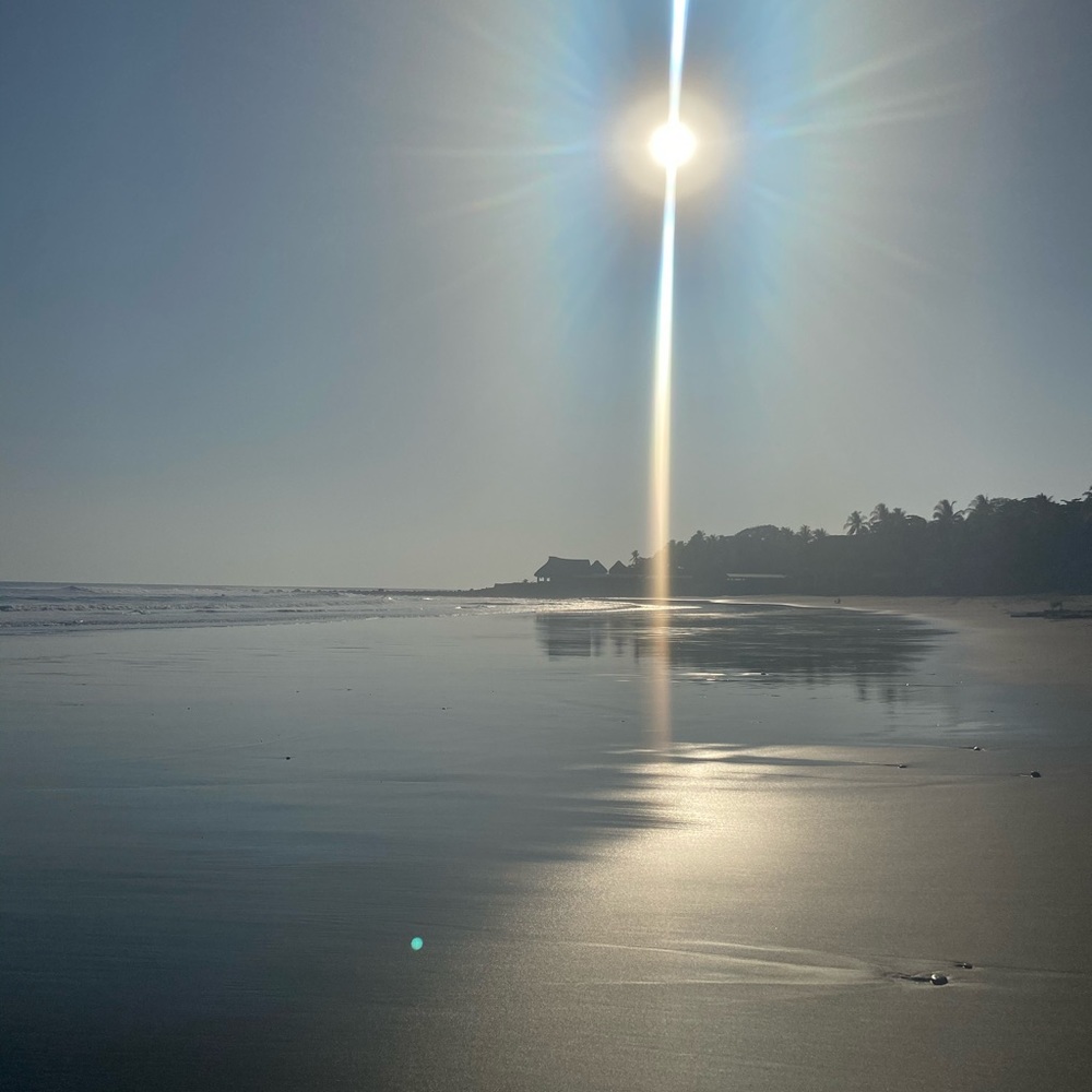 Meet your Posher, Sole